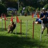 agility verriere 2011-10-01